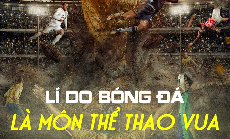 tai-sao-bong-dao-la-mon-the-thao-vua